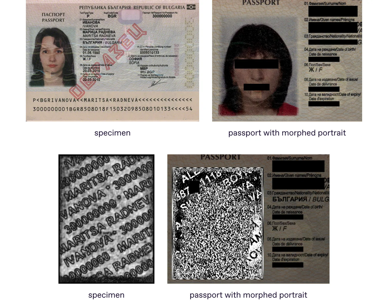 comparison of genuine Bulgarian passport and with morphed portrait